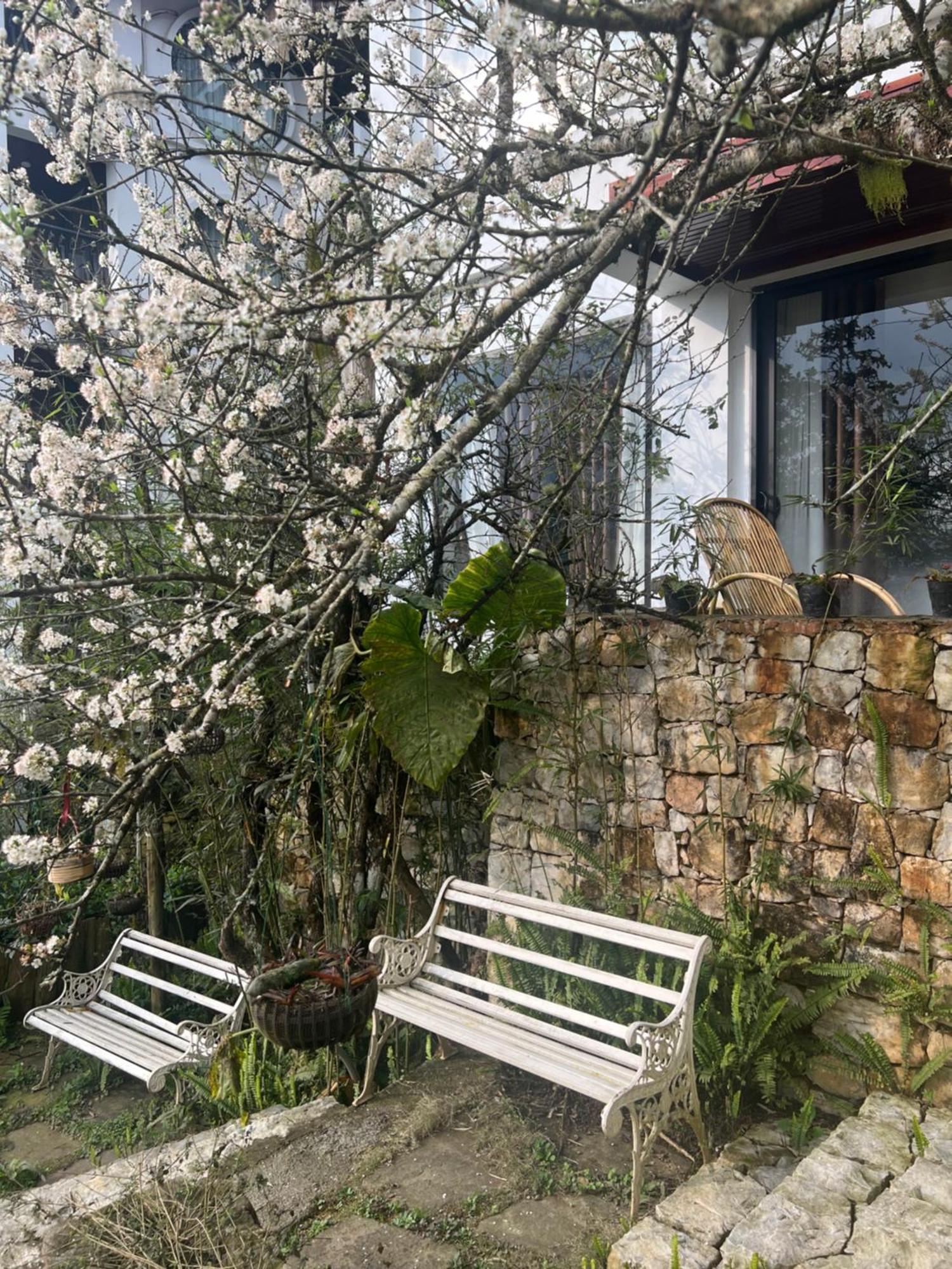 Green Villa Sapa Экстерьер фото