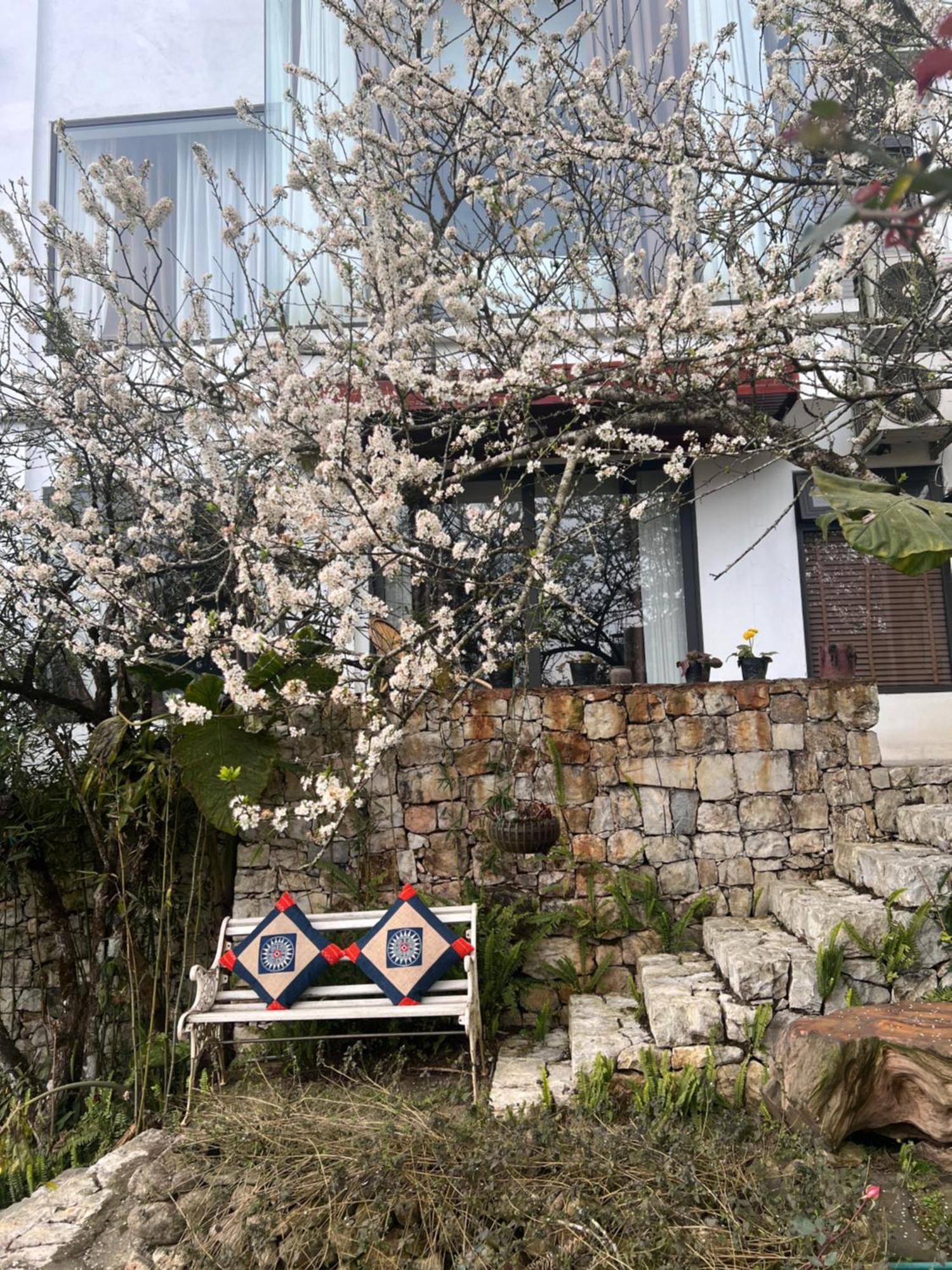 Green Villa Sapa Экстерьер фото